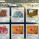 Image for article titled The best reporting of 2015 on Quartz